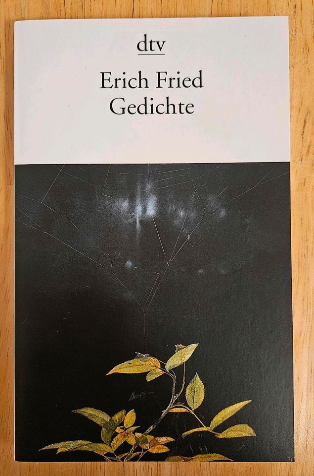 Erich Fried - Gedichte in Berlin