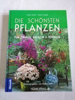 Bücher verschiedene Zimmerpflanzen Burgen Nordrhein-Westfalen - Gütersloh Vorschau