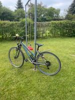 Winora Fahrrad mit lebenslanger kostenloser Durchsicht Sachsen - Markersdorf bei Görlitz Vorschau