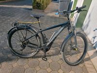 Cube Reaction Hybrid Pro Allroad 500 black'n'gray Nordrhein-Westfalen - Detmold Vorschau