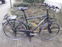 Herren City-Bike im TOP Zustand Essen - Essen-Ruhrhalbinsel Vorschau