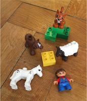 Lego Duplo 5646 Tierbabys auf dem Bauernhof Neuhausen-Nymphenburg - Neuhausen Vorschau