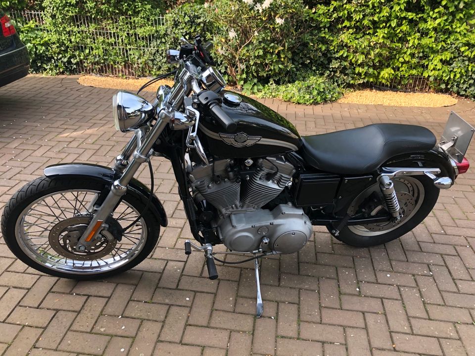 Harley-Davidson 883 Sportster XL in Gütersloh