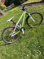 Scott Mountainbike 24 Zoll Sachsen-Anhalt - Anderbeck Vorschau