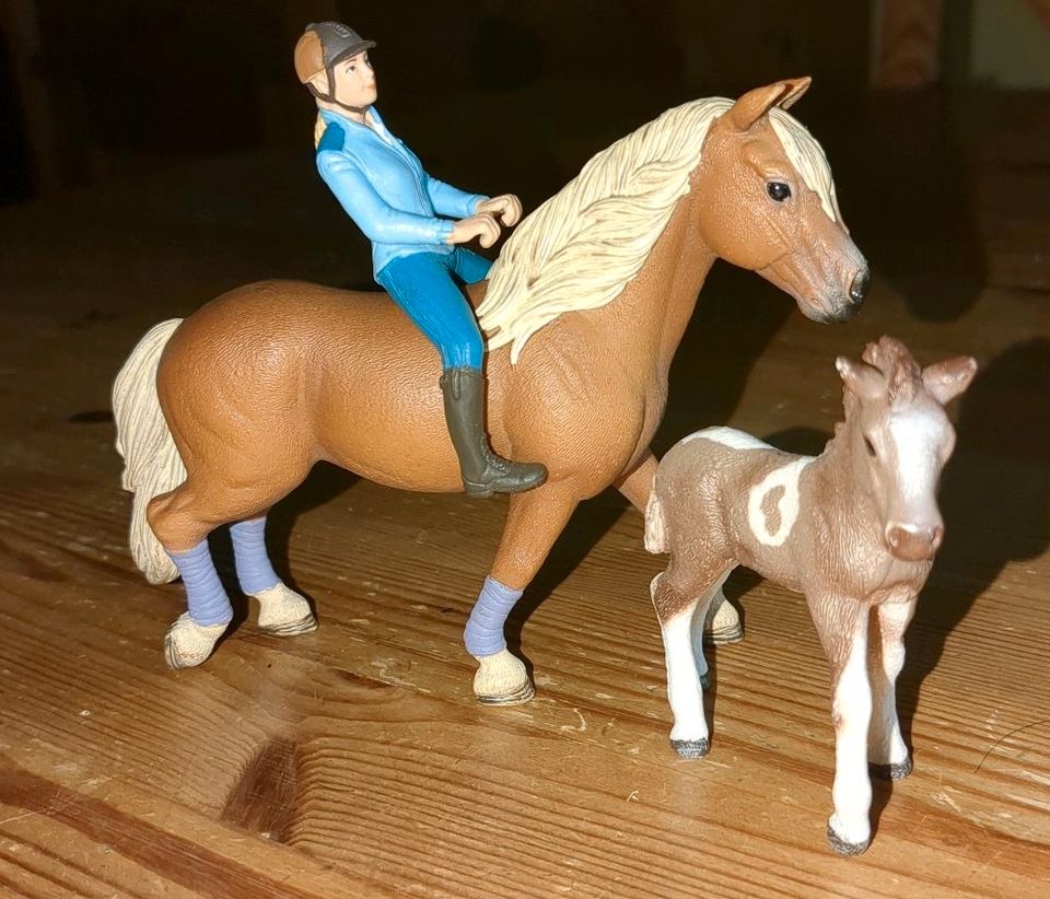 Schleich Pferd Fohlen und Mensch in Bad Harzburg