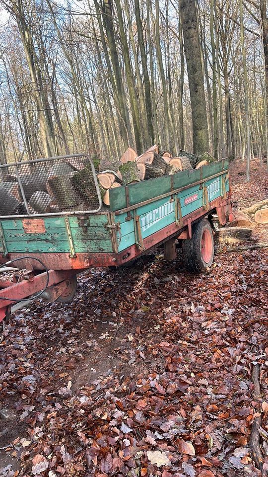 Miststreuer / Holzanhänger UNSINN Record 3000 in Dahlenburg