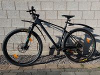 ORBEA Alma 29 Zoll M50 Hardtrail Mountainbike Carbon MTB Fahrrad Baden-Württemberg - Waghäusel Vorschau