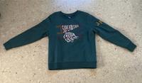 Dunkelgrüner Pullover Superdry Größe 44 mit Aufdruck (Löwe etc.) Hessen - Beselich Vorschau