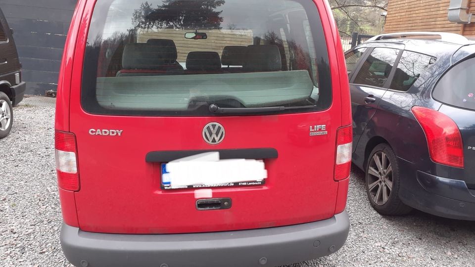 Volkswagen Caddy 2.0  Erdgas 7 Sitzer TÜV Sehr Sparsam in Rockenhausen