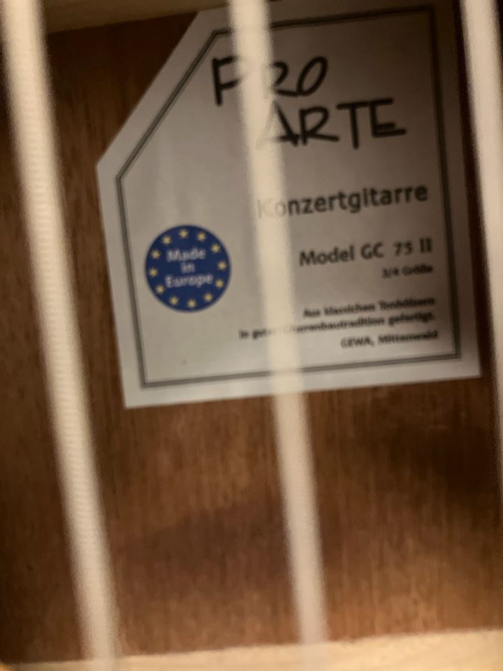 Gitarre 3/4 von Pro Arte - Kindergitarre in Regensburg