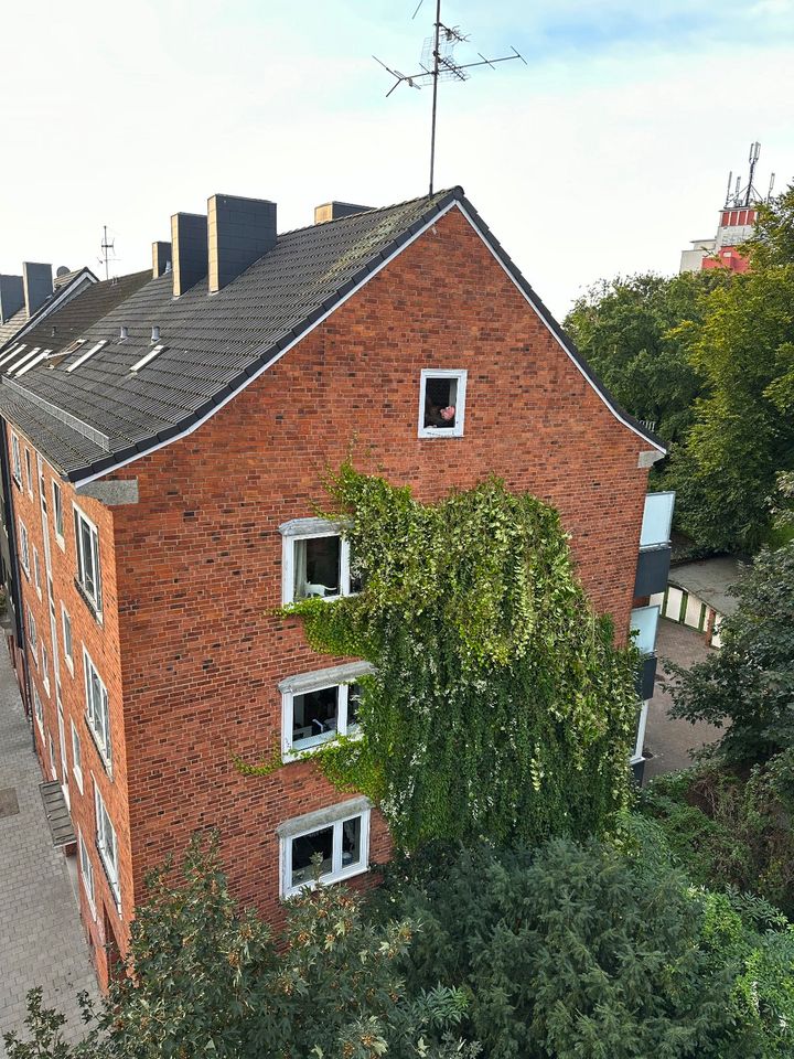Efeu entfernen,Fassade, Grünschnitt in Heikendorf