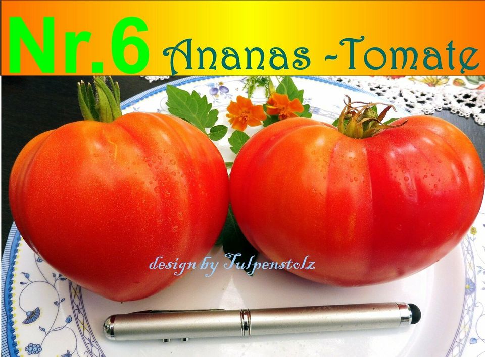♥ BIO Große Ananas Tomate,Alte Sorte,10 Samen,Garten,Tulpenstolz in Hamburg