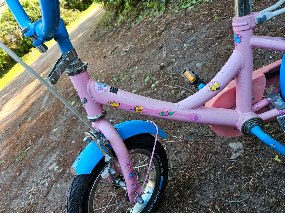 Mädchen Kinderfahrrad mit Stützrädern in Koblenz