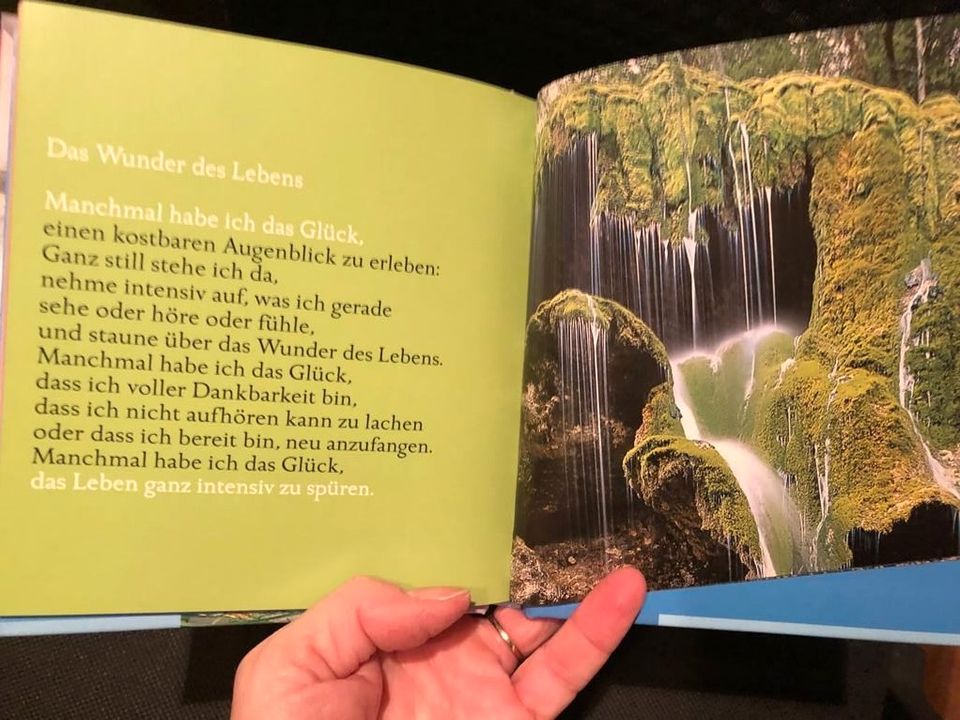 Buch "Liebe das Leben und vergiss die Sorgen" NEU in Bretzenheim