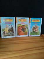 3 Bücher "Ponyhof Kleines Hufeisen" von Andrea Pabel Kreis Pinneberg - Elmshorn Vorschau