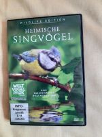 Heimische Singvögel Kiel - Mitte Vorschau