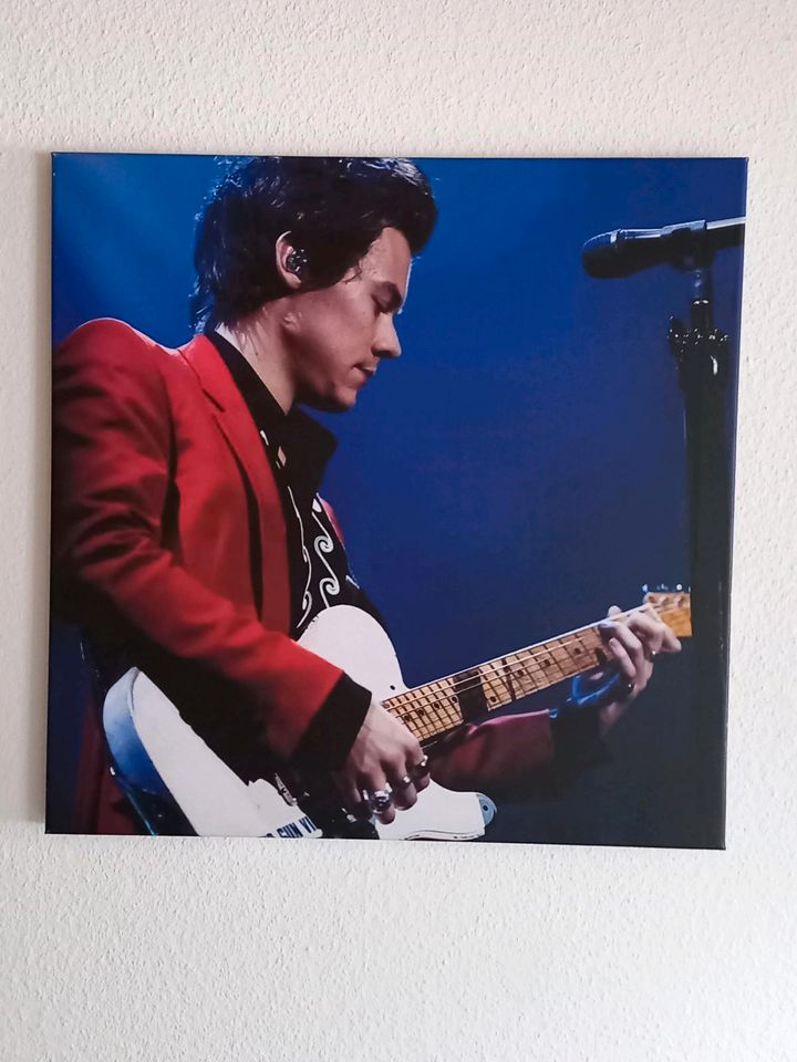 Harry Styles Foto Konzert Oberhausen Poster Leinwand in Dauchingen