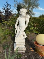 Putte Gartenstatue Vintage Junge Engel Gartenfigur Hessen - Petersberg Vorschau