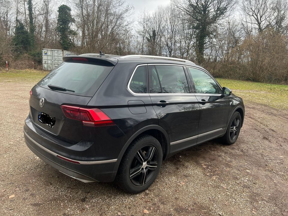 VW Tiguan 4x4 TDI in Hördt