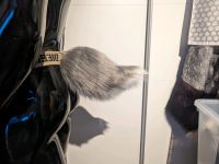 Fursuit Schwanz Hase Costüm Saarland - Schwalbach Vorschau