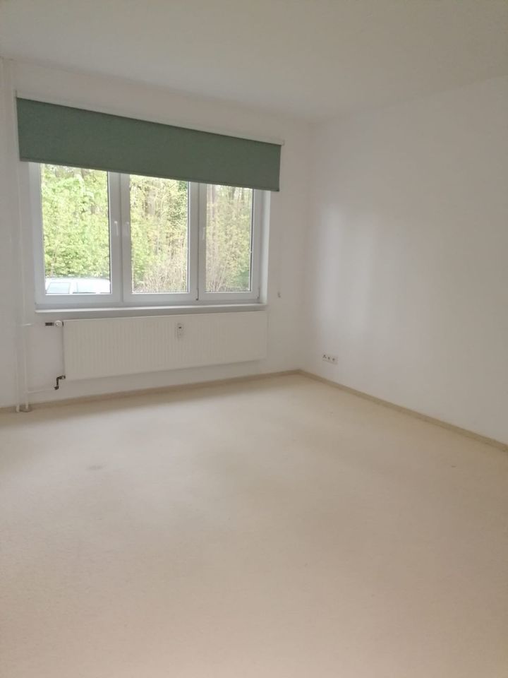 3 Zimmer EG Wohnung inkl. Terrasse, Hankensbüttel - Top Lage!!! in Hankensbüttel