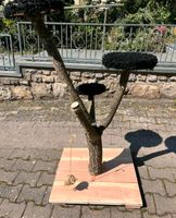 Kratzbaum für Katze Massivholz Bayern - Würzburg Vorschau