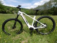 Conway Cairon S5.0 E-Bike MTB BOSCH CX GEN4 KIOX 750Wh *NEU* Saarland - Schmelz Vorschau