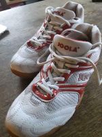 Tischtennisschuhe JOOLA super gut erhalten Größe 40 Sportschuhe Niedersachsen - Staufenberg Vorschau