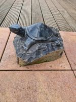 Schildkröte aus Basalt Garten/ Beet/ Dekoration/ Geschenk Nordrhein-Westfalen - Neunkirchen-Seelscheid Vorschau