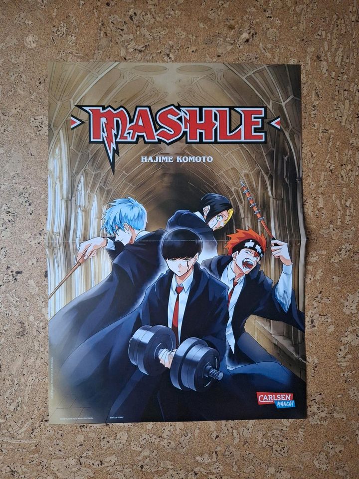 Verschiedene Anime Manga Poster Fairytail Mashle My hero academia in Flörsheim-Dalsheim