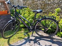 Damen City Fahrrad Maxim Vigo 28 Zoll Bayern - Stadtbergen Vorschau