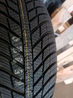 Nexen Nblue 4season 195/60 R15 Rheinland-Pfalz - Bad Sobernheim Vorschau