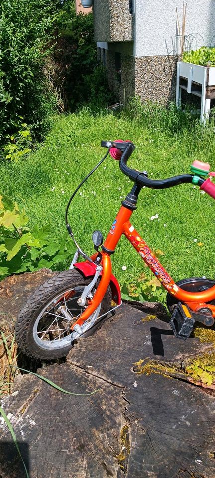 Wie neu Kinder Fahrrad 12 Zoll in Gießen