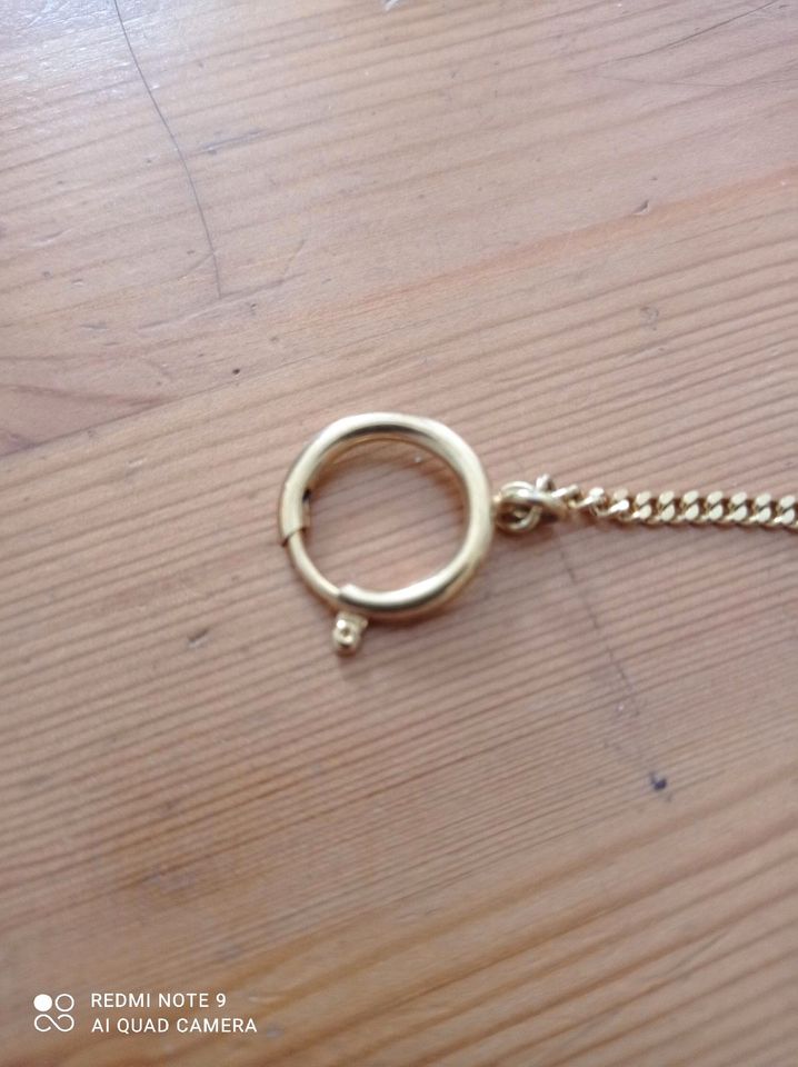 1 gold farbige Taschenuhr Kette, 25 cm lang in Essen