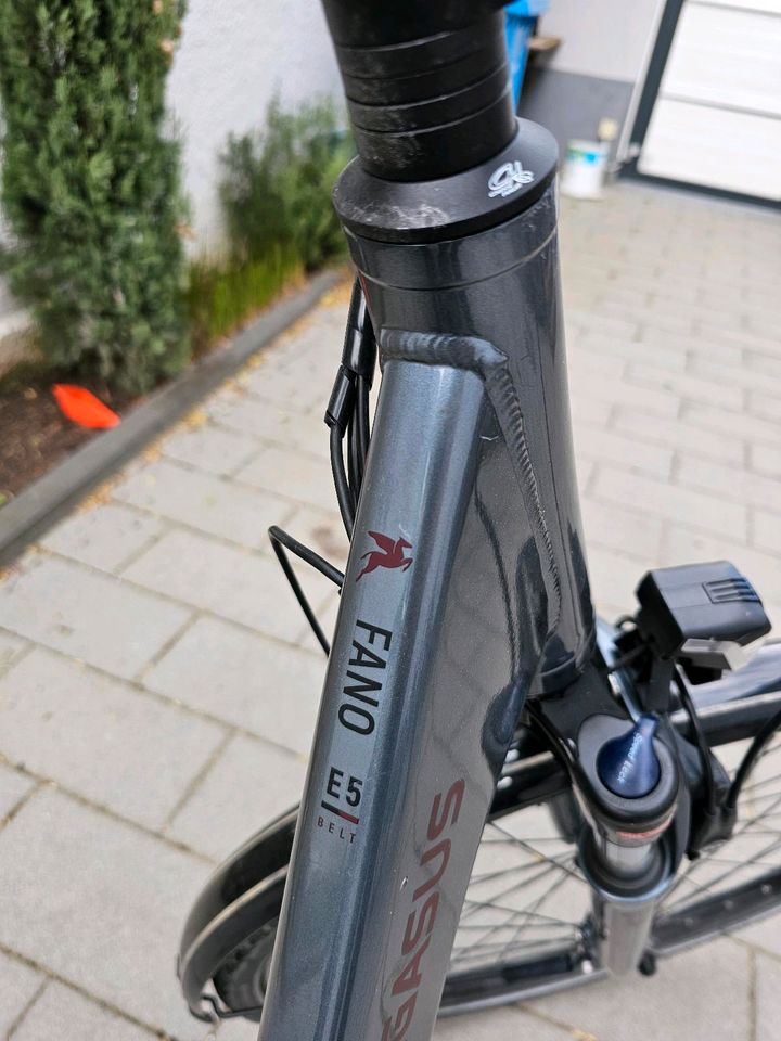 Pegasus EBike Fano E5 RH 55cm mit Brose Motor in Mühlheim am Main