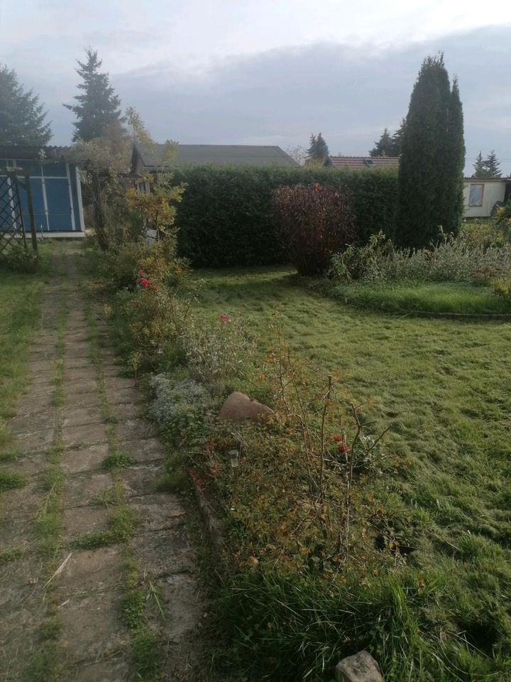 Gartengrundstück mit Laube ohne Pacht in Meuselwitz