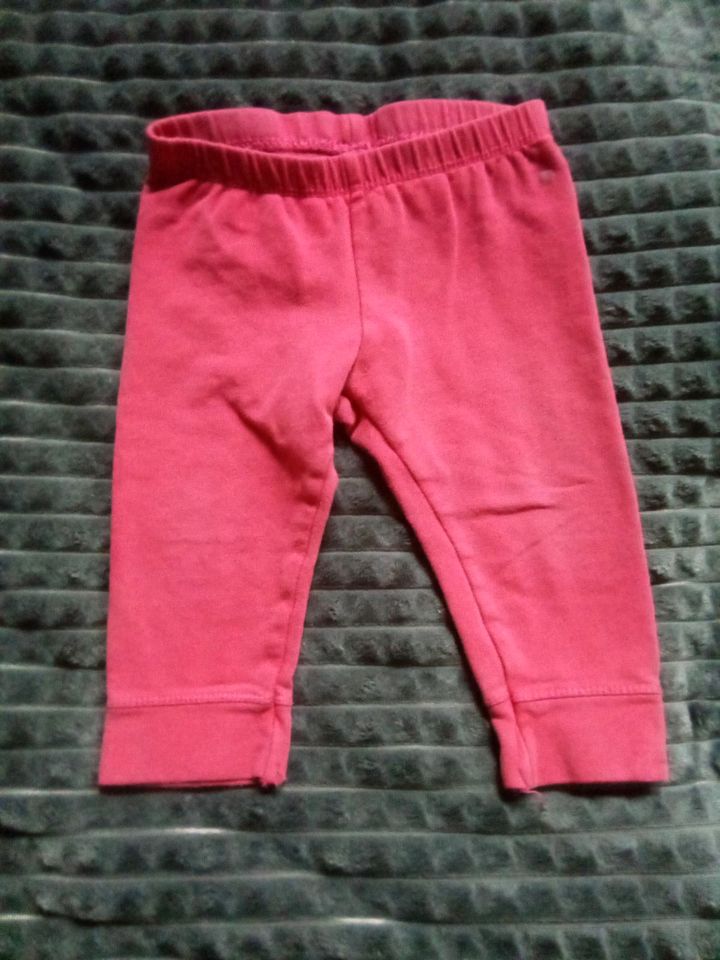 Baby Hose Thermohose Leggins ThermoleggingsHerbst Winter Größe 74 in Arnstadt