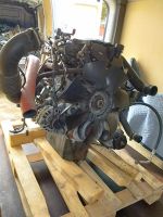 Motor Iveco Daily 3.0 HPI F1CGL411B 180PS EU6 Komplett Sachsen - Torgau Vorschau