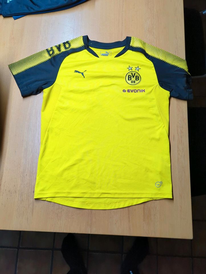 BVB Kinder Trainings Shirt Gr. 152 TOP!!!!! in Köln