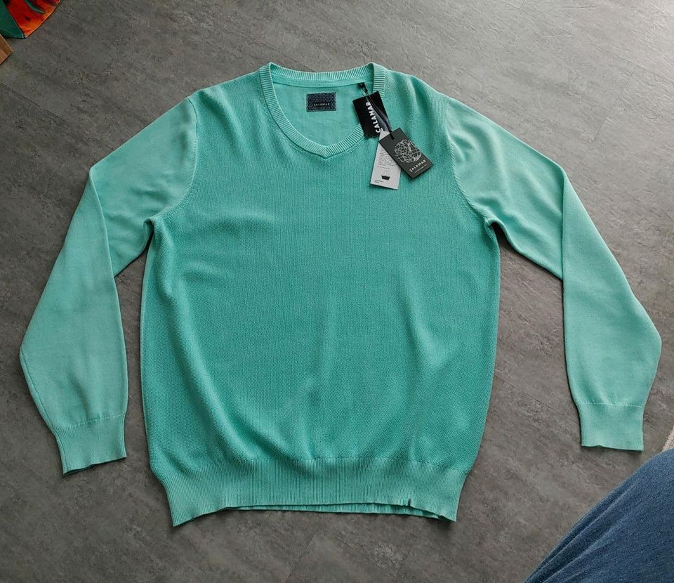 Calamar Pullover für Herren Gr L türkis Neu in Bad Lippspringe