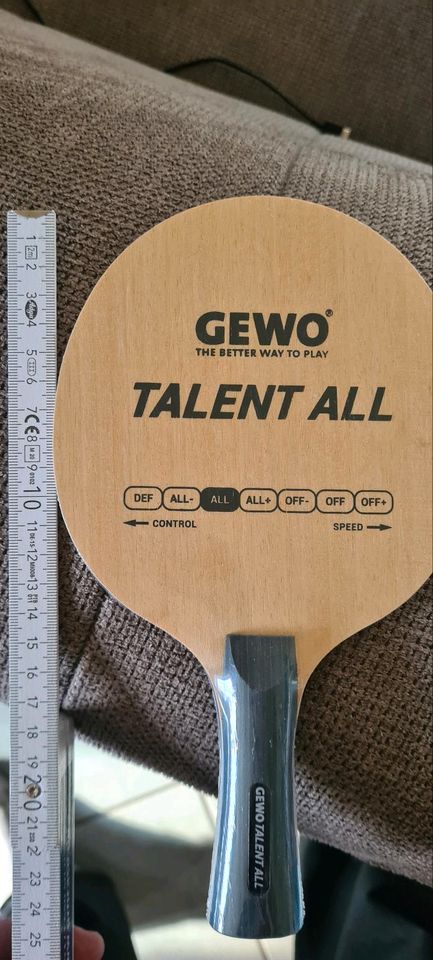 Gewo Holz Talent All NEU konkav in Schöllkrippen