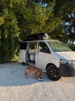 VW T5 Camper Van / Diesel 103 kW 140 PS / Wohnmobil Zulassung Hamburg-Nord - Hamburg Winterhude Vorschau