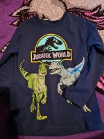 Jurassic World gr128 dinos Aachen - Aachen-Brand Vorschau