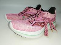 Saucony Kinvara 14 Damen Laufschuhe Schuhe Sneaker Gr. 38 Baden-Württemberg - Mühlacker Vorschau