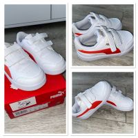 +++Puma+++coole Sneaker Gr.25+++NEU+++ Sommersdorf (Börde) - Marienborn Vorschau