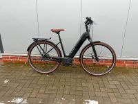 Raleigh Liverpool Premium Bosch Ebike Damen 500Wh Riemen Sofort Niedersachsen - Jade Vorschau