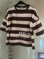 Pulli Betty & Co Hessen - Hauneck Vorschau