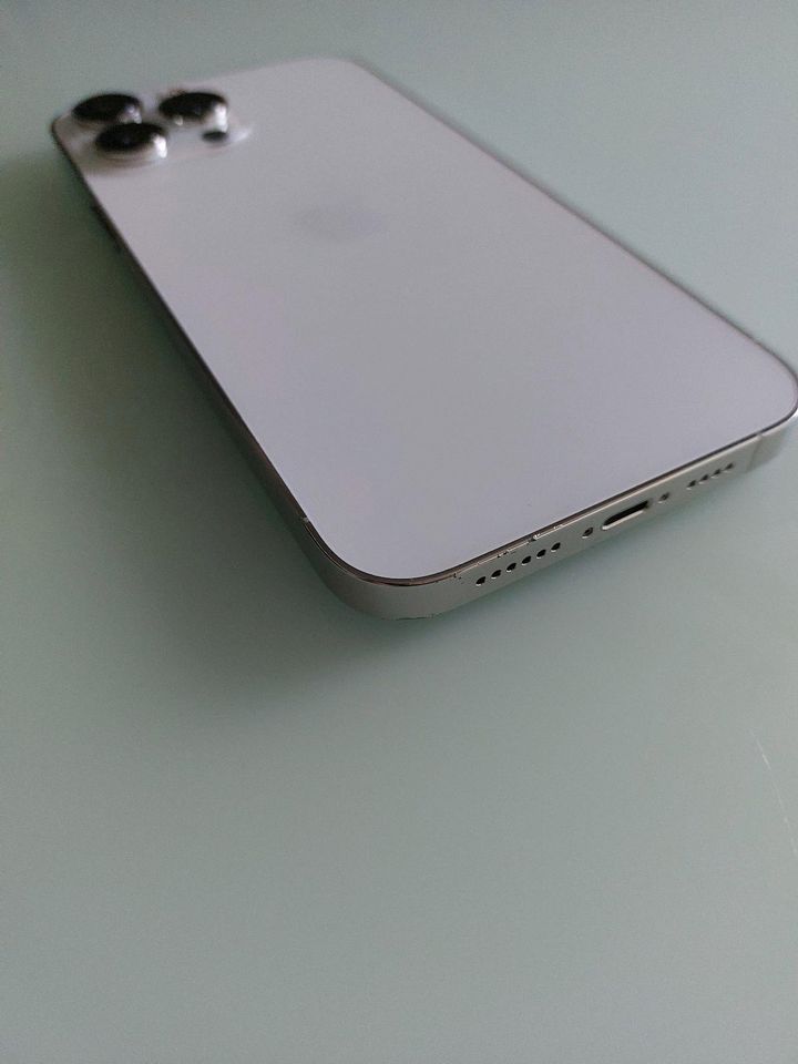 Apple iPhone 13 Pro Max 128GB Silber in Bergkamen