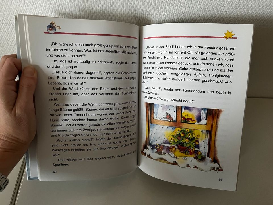 Buch Weihnachten Weihnachtsgeschichten ab 5 in Heidelberg