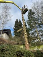 Baumfällung | Problembaumfällung | Baum fällen Baden-Württemberg - St. Georgen Vorschau